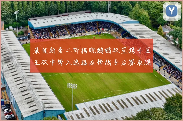 最佳新秀二阵揭晓鹈鹕双星携手国王双中锋入选猛龙锋线季后赛表现抢眼
