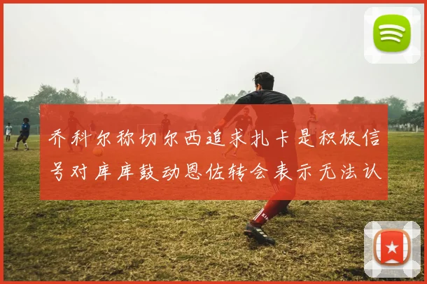 乔科尔称切尔西追求扎卡是积极信号对库库鼓动恩佐转会表示无法认同